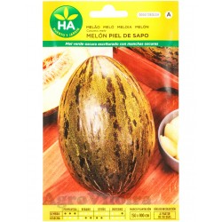 Melon PIEL DE SAPO S. TORPEDO