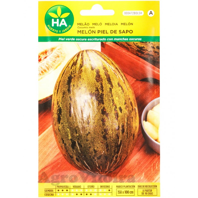 Melon PIEL DE SAPO S. TORPEDO