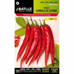 Pimiento Guindilla de Cayenne, rojo