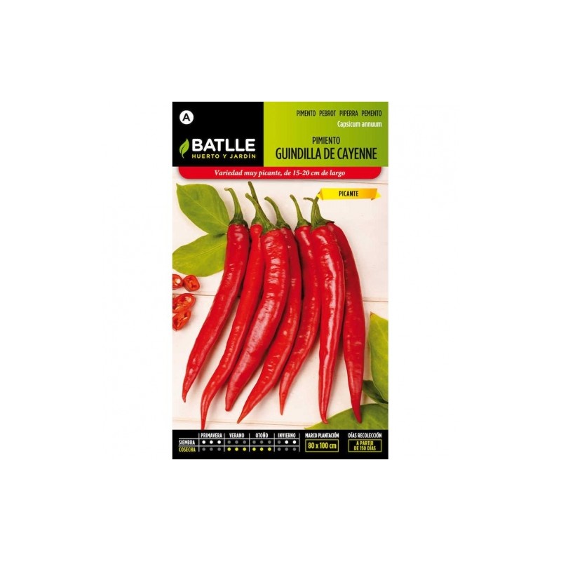 Pimiento Guindilla de Cayenne, rojo