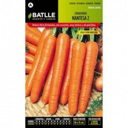 Zanahoria NANTESA 5 S. CILINDRO