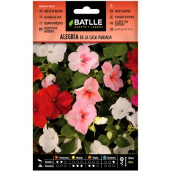 Alegria de la casa Impatiens vda