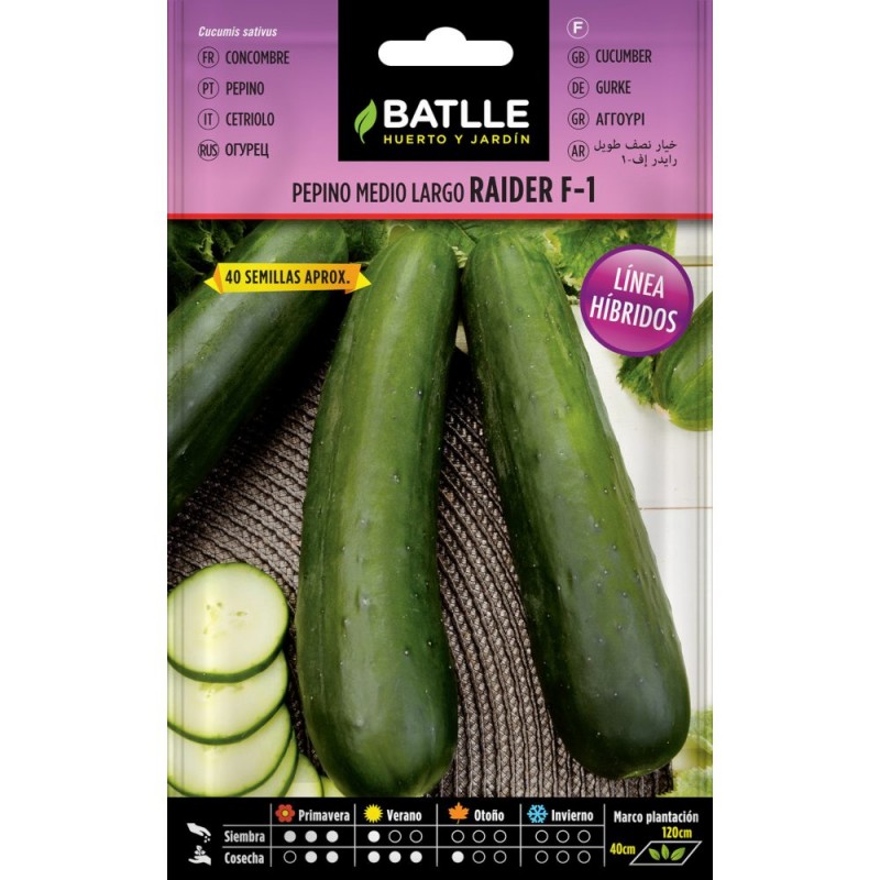 Pepino 1/2 Largo RAIDER F-1