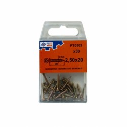 BLISTER TIRAFONDO BIC 2,5X20 30U