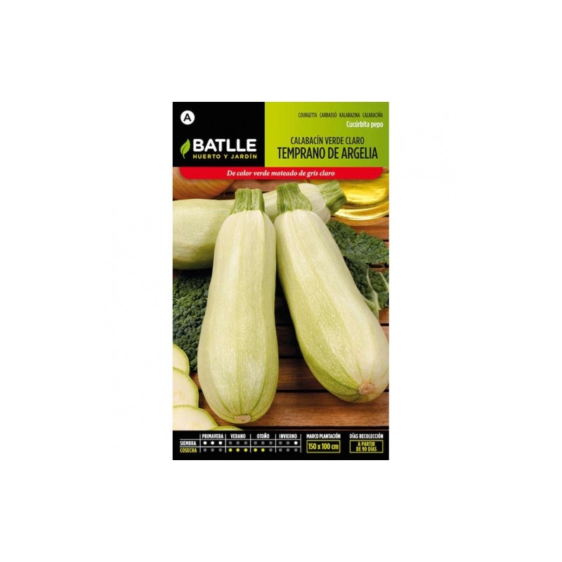 Calabacin Temprano de ARGELIA
