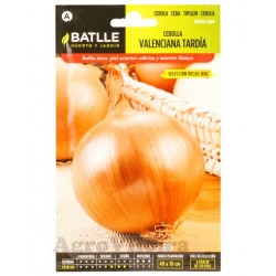 Cebolla Valeniana Tardía Sel.