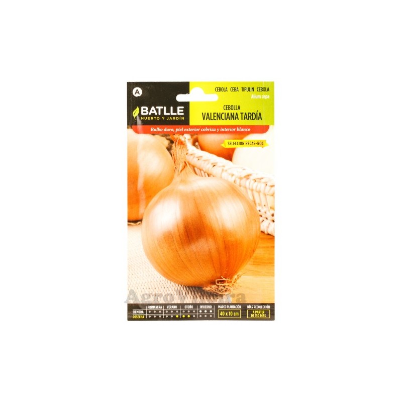 Cebolla Valeniana Tardía Sel.