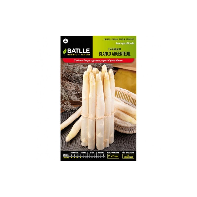 Esparrago Blanco ARGENTEUIL