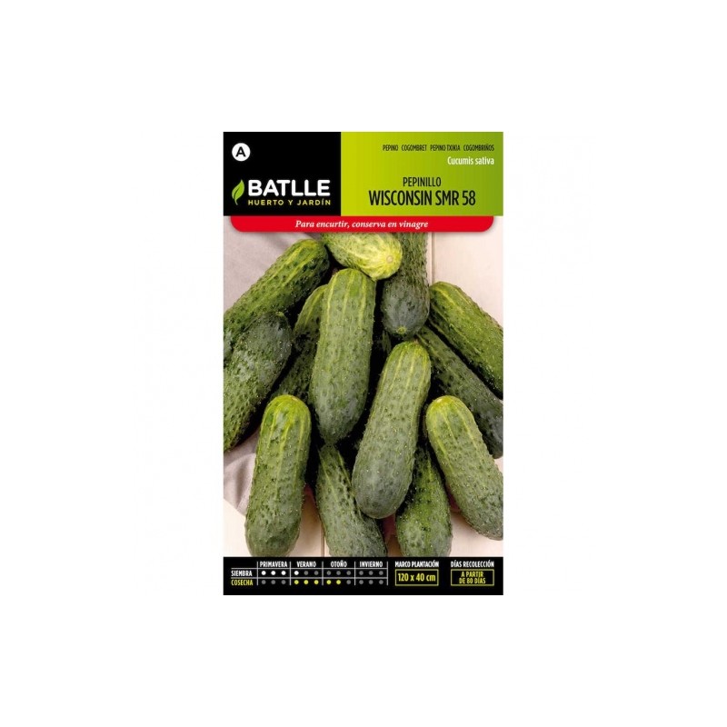 Pepinillo WISCONSIN SMR 118