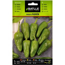 Pimiento PADRON