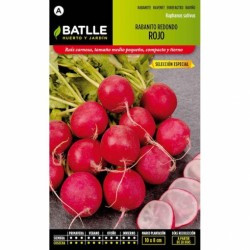 Rabanito Redondo Rojo Sel. ESPECIAL
