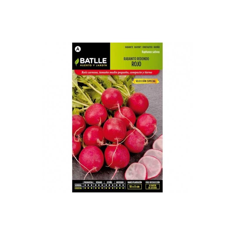 Rabanito Redondo Rojo Sel. ESPECIAL