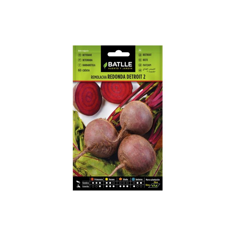 Remolacha mesa Detroit 2