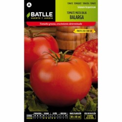Tomate BALARGA