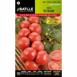 Tomate de Colgar Sel. DOMINGO