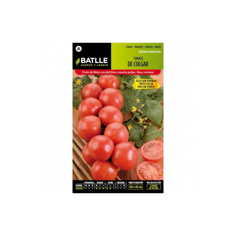 Tomate de Colgar Sel. DOMINGO