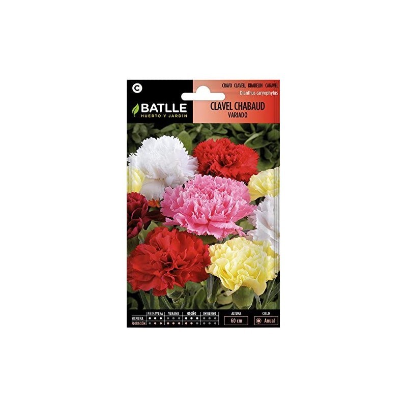 Clavel Chabaud doble Estriado VARIADO
