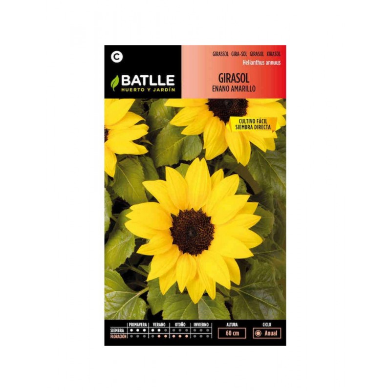 Girasol enano Wahoo Amarillo