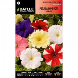 Petunia Compacta VARIADA