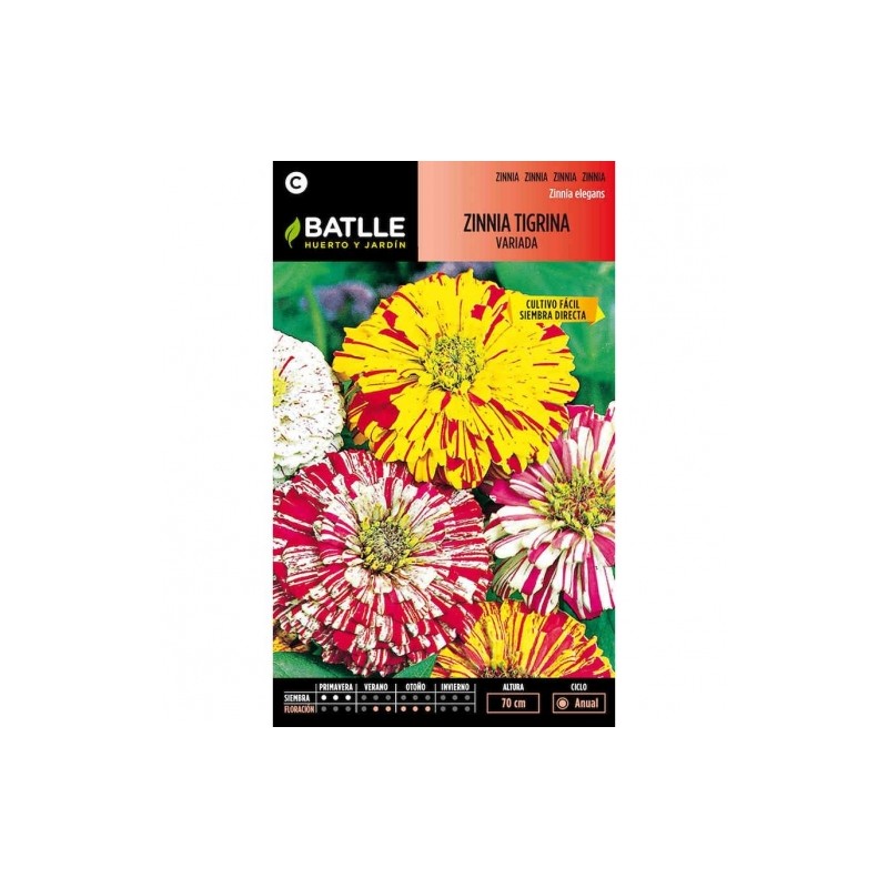 Zinnia TIGRINA variada