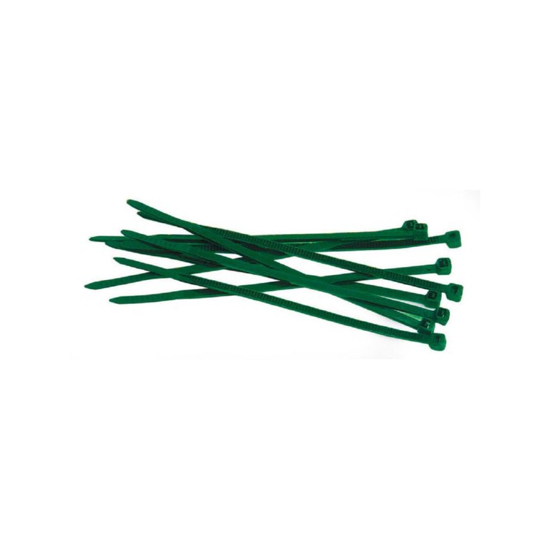 BRIDA NYLON VERDE B/100 2,5X100MM