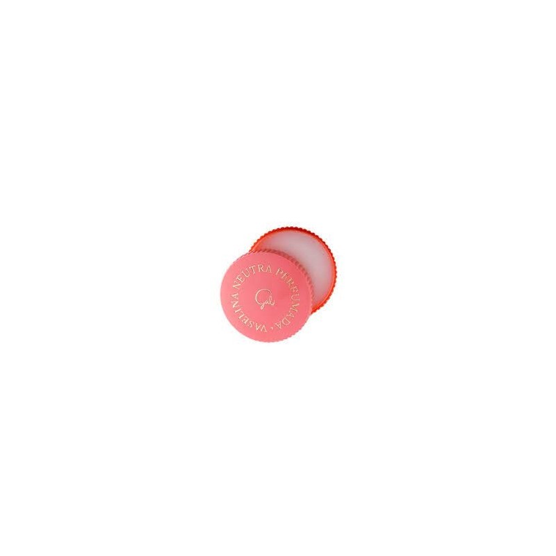 VASELINA 40ML