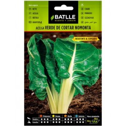 Acelga Verde cortar S. NOMONTA