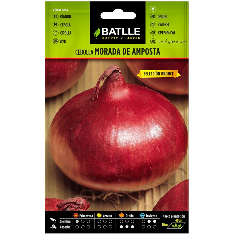 Cebolla Morada de Amposta Sel. BRONCE