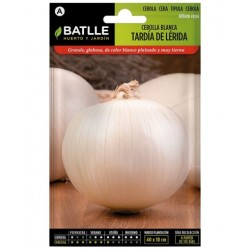 Cebolla Grande tardía de LERIDA