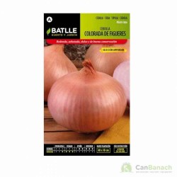 Cebolla Col.FIGUERES-AMPURDAN