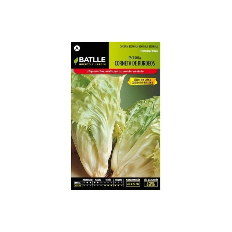 Escarola Corneta Burdeos S. DIANA