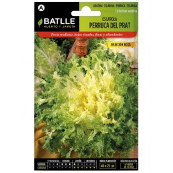 Escarola Perruca del Prat S. RIZOS