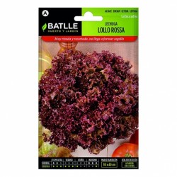 Lechuga LOLLO ROSSA