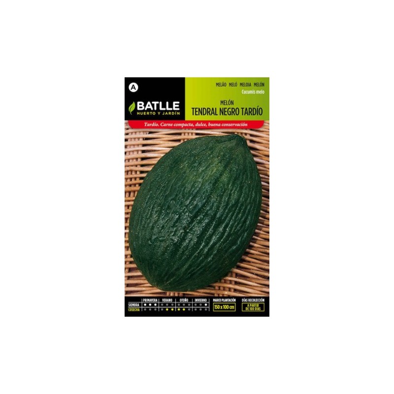 Melon TENDRAL NEGRO TARDIO