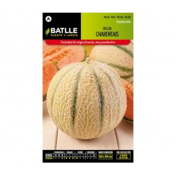 Melon CHARENTAIS