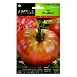 Tomate 3 cantos Gigante ROSA