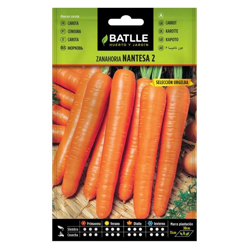 Zanahoria NANTESA 2 S. URGELBA