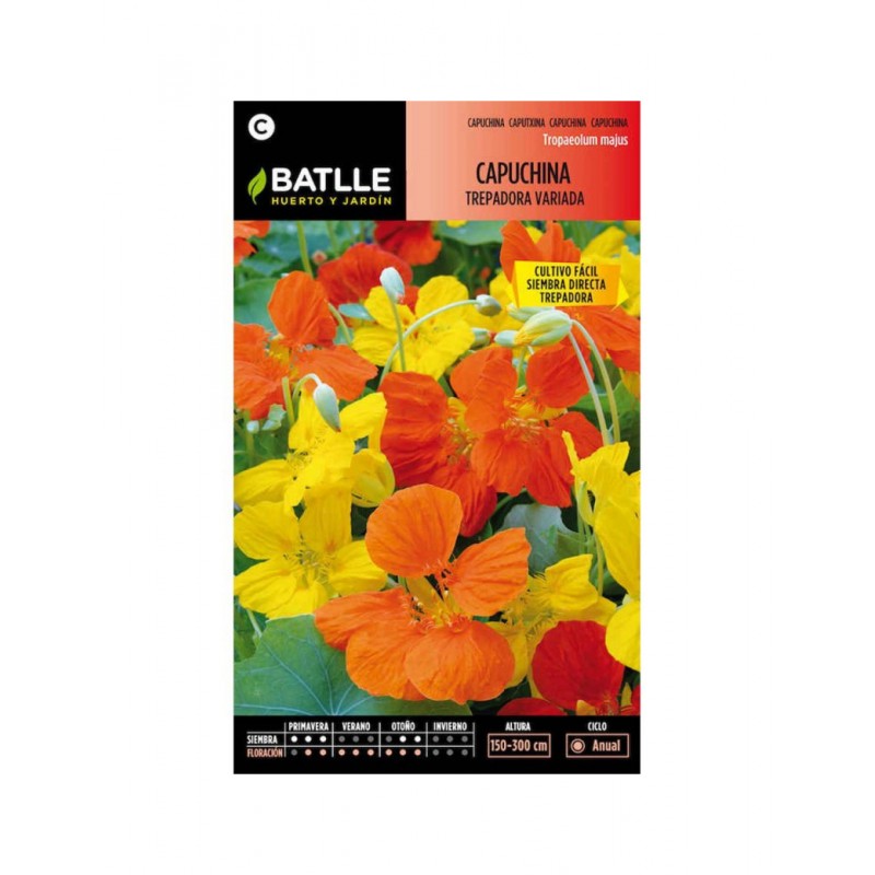 Capuchina TREPADORA Variada
