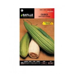 Calabaza LUFFA planta Esponjas