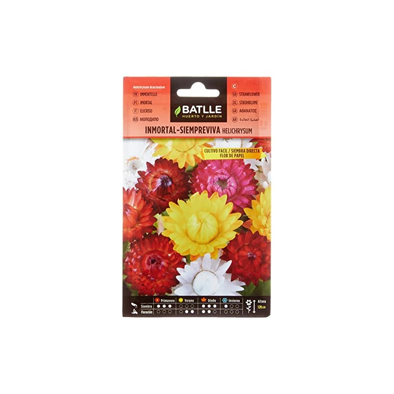 Immortal-Siempreviva Helichrysum