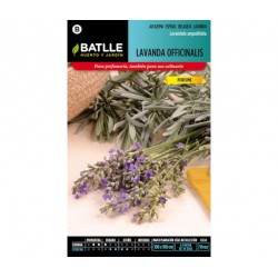 Lavanda OFFICINALIS