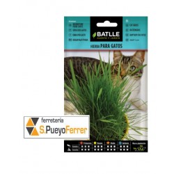 Hierba para GATOS - Graminae