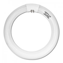 TUBO FLUORESCENTE CIRCULAR 32W TRIFOSFORO 865