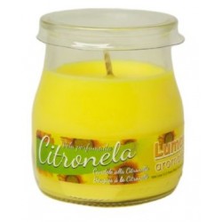 VELA CITRONELA VASO YOGURT 100 GR