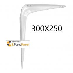 PALOMILLA N.1 BLANCA 300X250