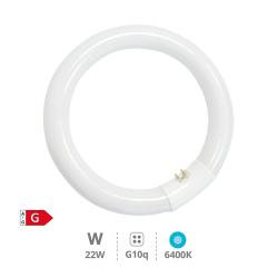 TUBO FLUORESCENTE CIRCULAR 22W TRIFOSFORO 865